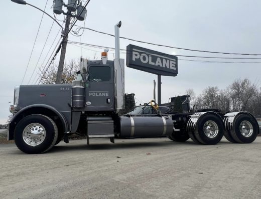 POLANE INC