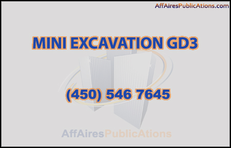 MINI EXCAVATION GD3