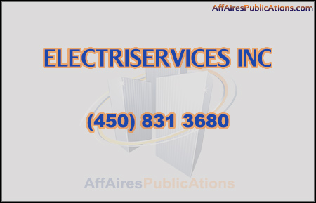 ELECTRISERVICES INC