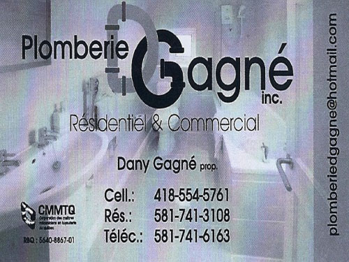 PLOMBERIE D GAGNÉ INC