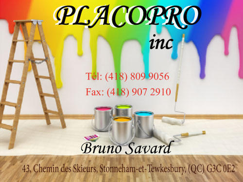 PLACOPRO INC