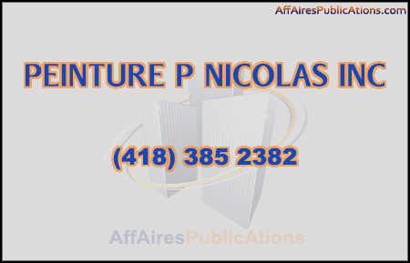 PEINTURE P NICOLAS INC