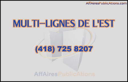 MULTI-LIGNES DE L&rsquo;EST