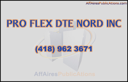 PRO FLEX DTE NORD INC