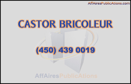 CASTOR BRICOLEUR
