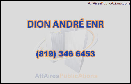 DION ANDRÉ ENR