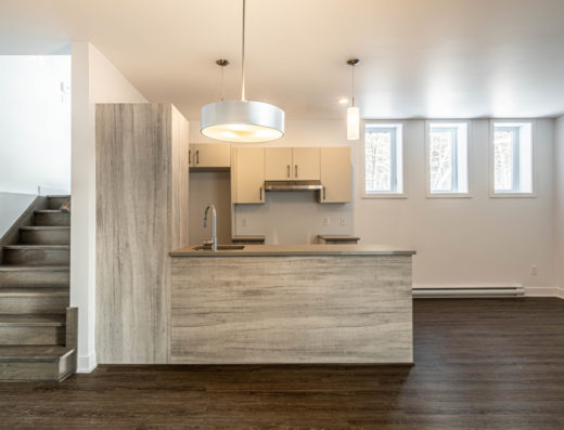 HABITATIONS DUCHESNE INC