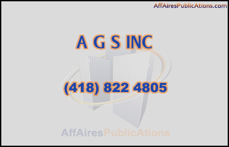 A G S INC