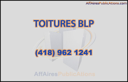 TOITURES BLP ENR