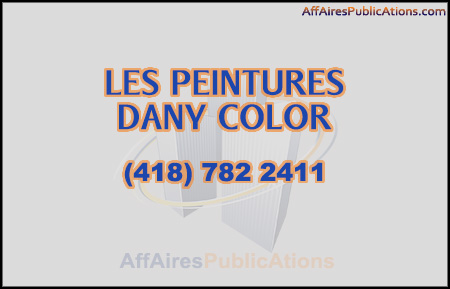 LES PEINTURES DANY COLOR