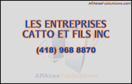 LES ENTREPRISES CATTO ET FILS INC