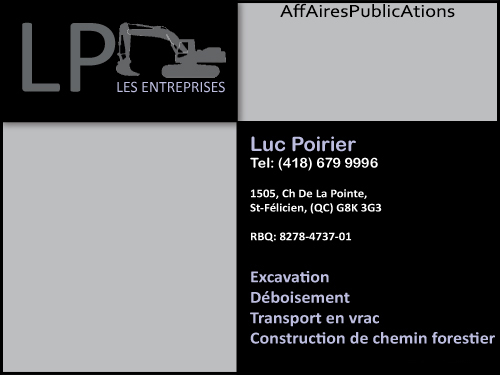 LES ENTREPRISES LP INC