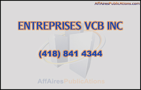 ENTREPRISES VCB INC