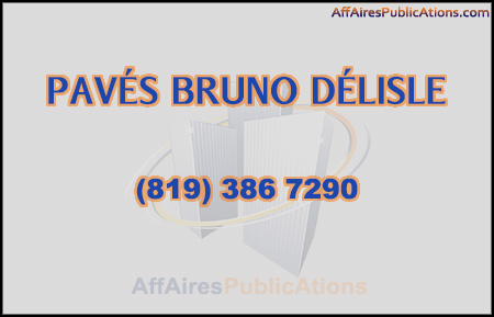 PAVÉS BRUNO DÉLISLE