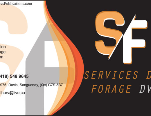 SERVICES DE FORAGE DV