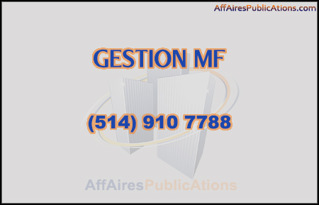 GESTION MF