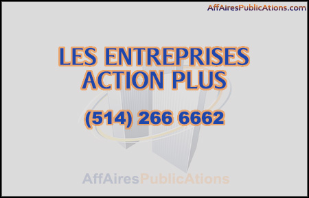 LES ENTREPRISES ACTION PLUS