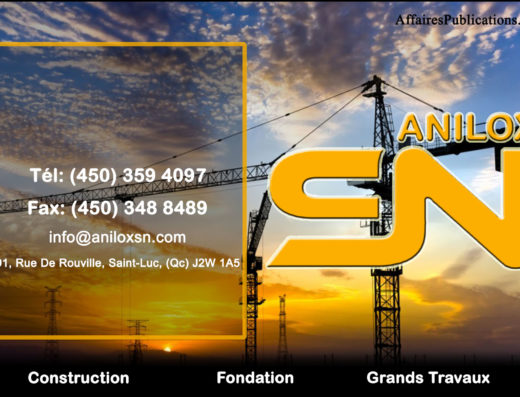 ANILOX SN INC