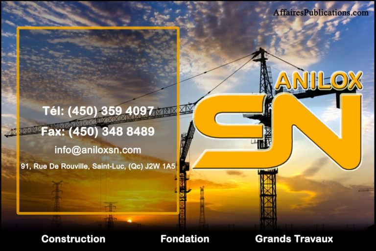 ANILOX SN INC