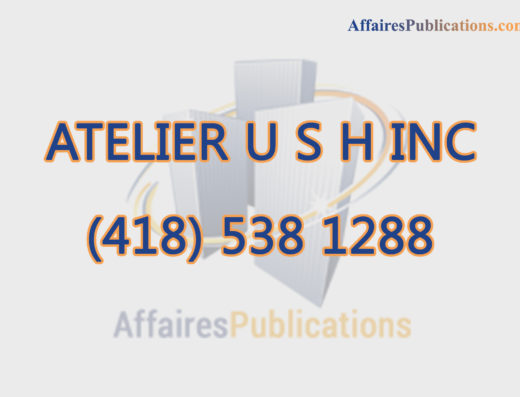 ATELIER U S H INC