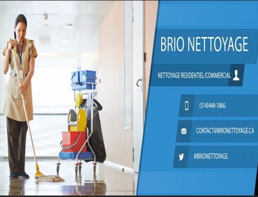 BRIO NETTOYAGE