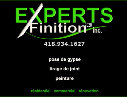 EXPERTS FINITION 2020 INC