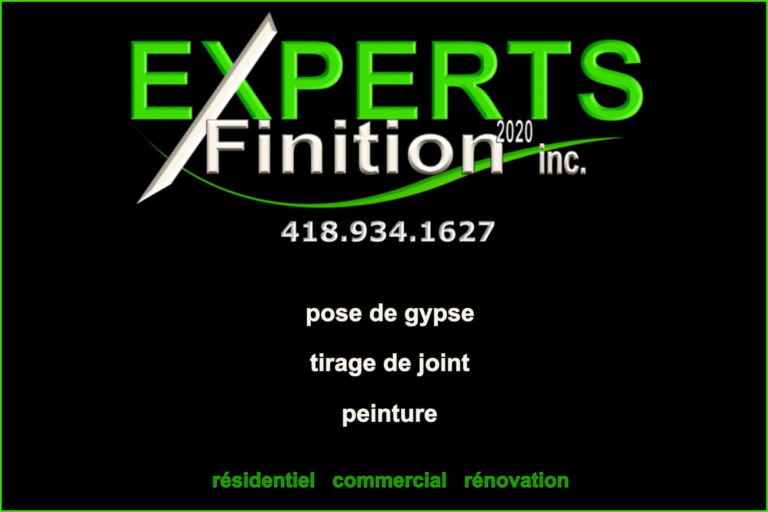EXPERTS FINITION 2020 INC