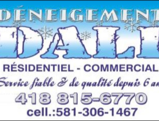 DÉNEIGEMENT DALI