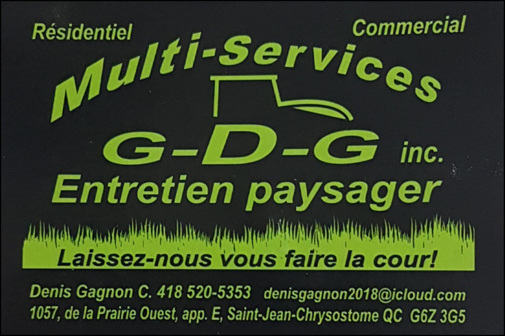 MULTI-SERVICES GDG INC