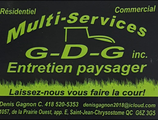 MULTI-SERVICES GDG INC