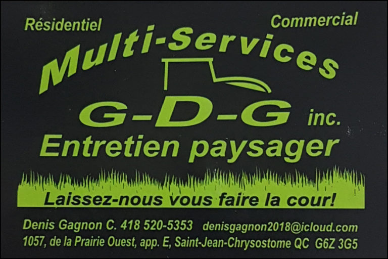 MULTI-SERVICES GDG INC