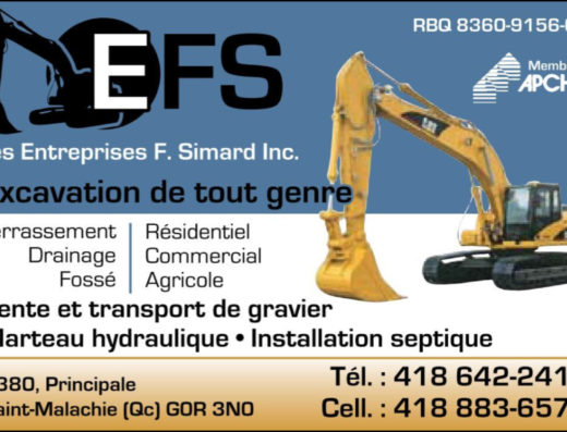 ENTREPRISES F SIMARD INC