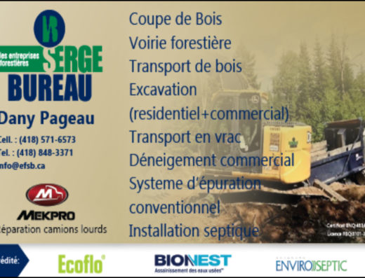 ENTERPRISES SERGE BUREAU INC