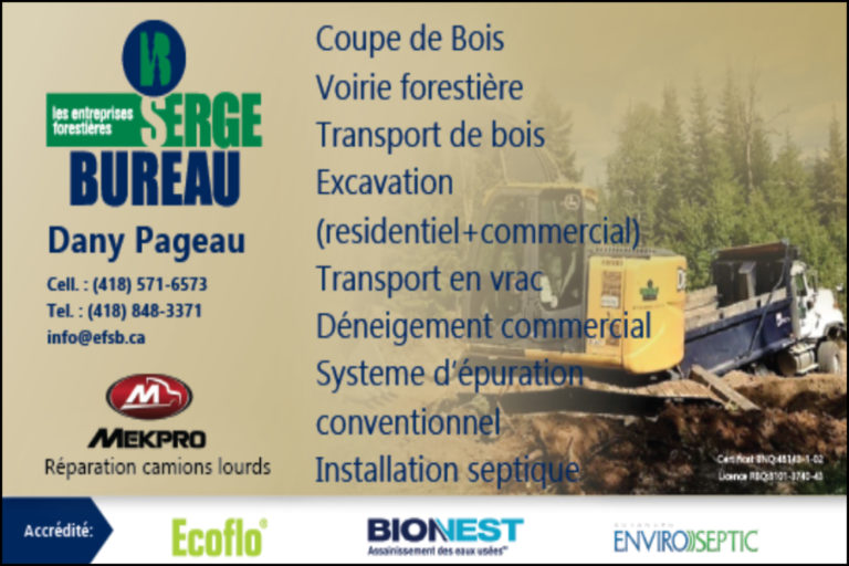 ENTERPRISES SERGE BUREAU INC