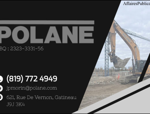 POLANE INC