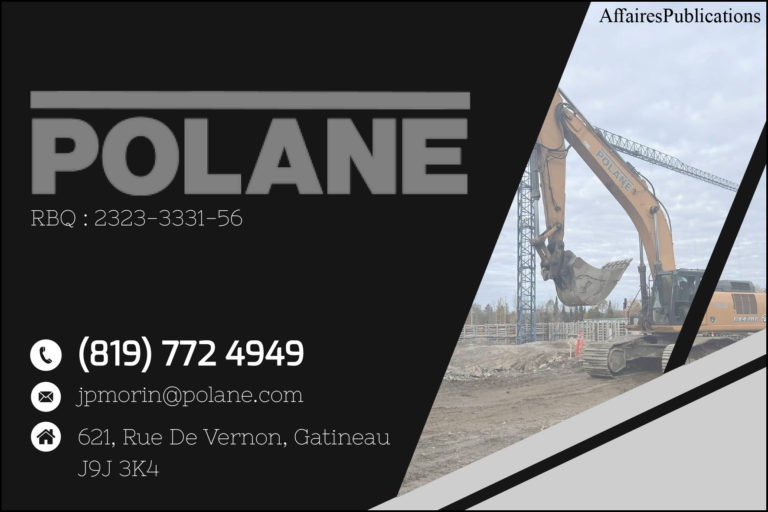 POLANE INC
