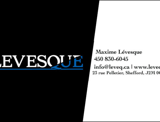 LEVESQUE INC
