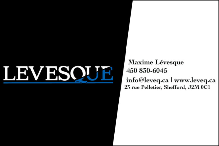 LEVESQUE INC