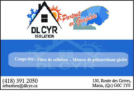 DL CYR ISOLATION INC