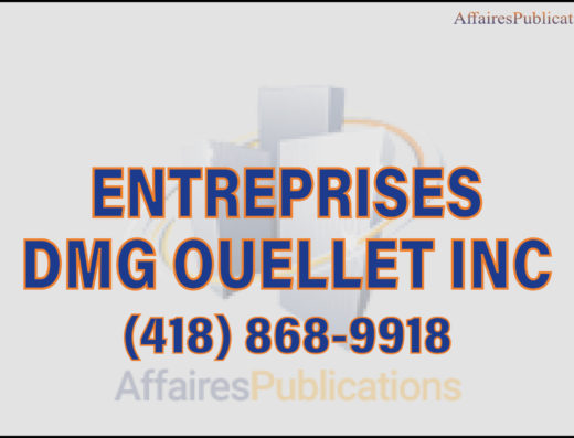 ENTREPRISES DMG OUELLET INC