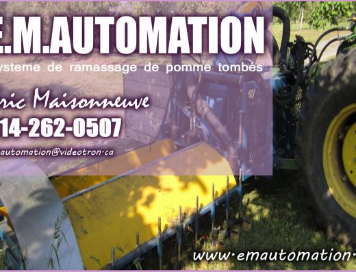 EM AUTOMATION INC