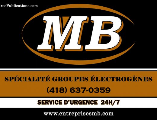 ENTREPRISES MB INC