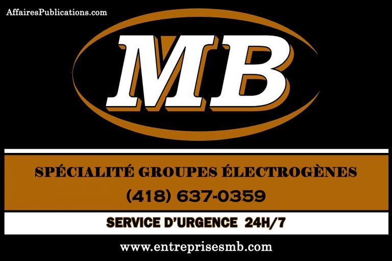 ENTREPRISES MB INC