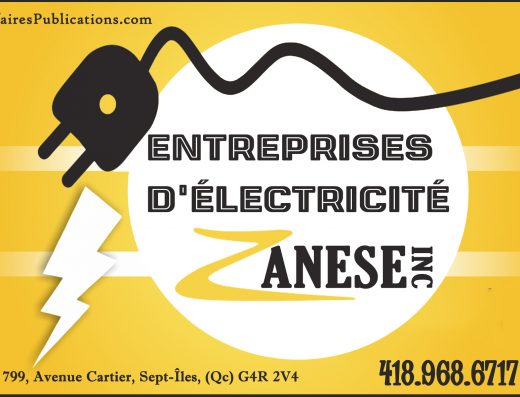 ENTREPRISES D&rsquo;ÉLECTRICITÉ ZANESE INC
