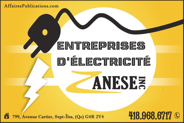ENTREPRISES D&rsquo;ÉLECTRICITÉ ZANESE INC