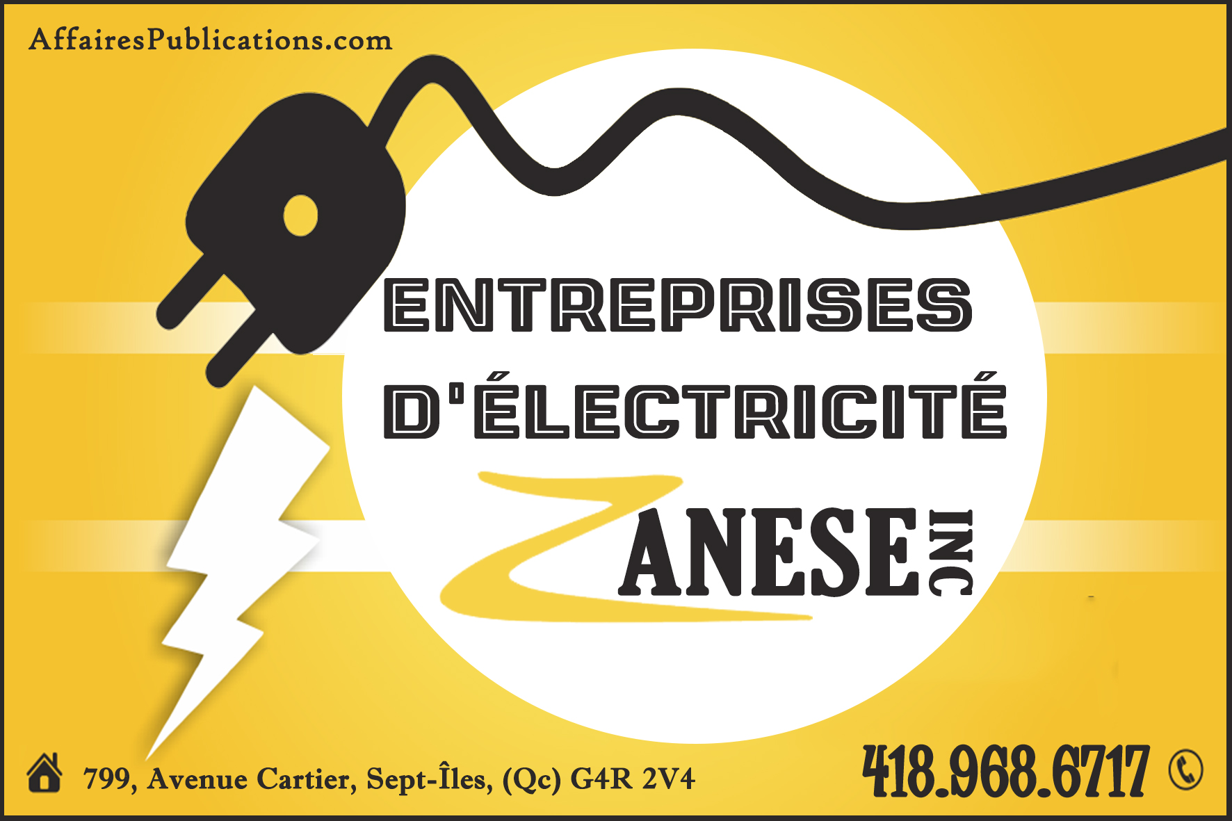 ENTREPRISES D&rsquo;ÉLECTRICITÉ ZANESE INC