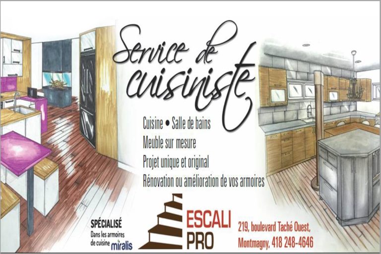 ESCALI-PRO INC