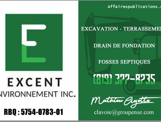 EXCENT ENVIRONNEMENT INC