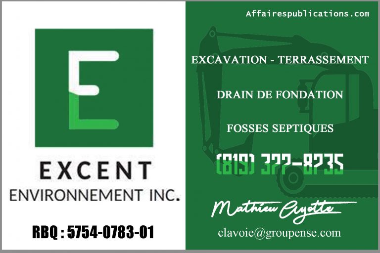 EXCENT ENVIRONNEMENT INC