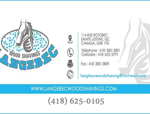 INDUSTRIE LANGEBEC INC